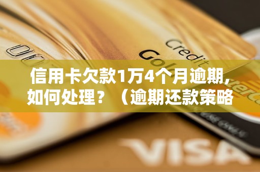 信用卡欠款1万4个月逾期,如何处理？（逾期还款策略详解）