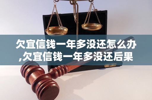 欠宜信钱一年多没还怎么办,欠宜信钱一年多没还后果严重吗