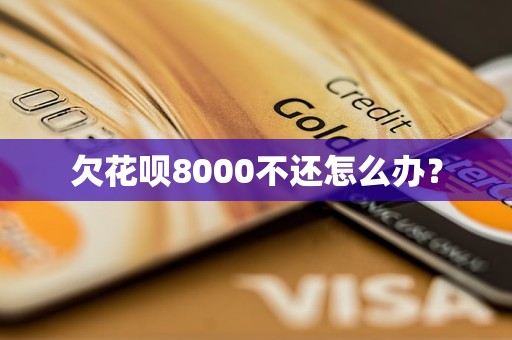 欠花呗8000不还怎么办？