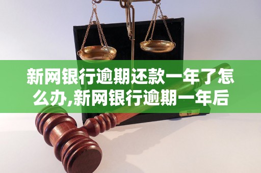 新网银行逾期还款一年了怎么办,新网银行逾期一年后的处理方法