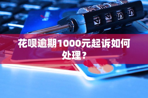 花呗逾期1000元起诉如何处理？