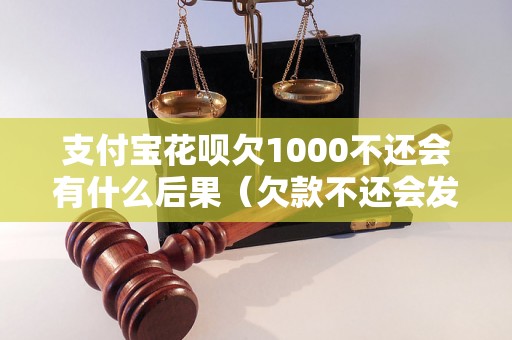 支付宝花呗欠1000不还会有什么后果（欠款不还会发生什么）