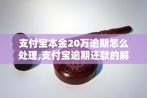 支付宝本金20万逾期怎么处理,支付宝逾期还款的解决方法