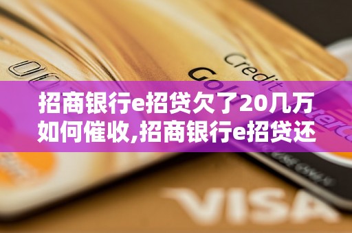 招商银行e招贷欠了20几万如何催收,招商银行e招贷还款逾期怎么处理