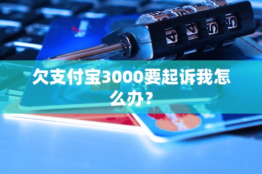 欠支付宝3000要起诉我怎么办？