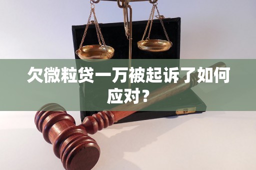 欠微粒贷一万被起诉了如何应对？