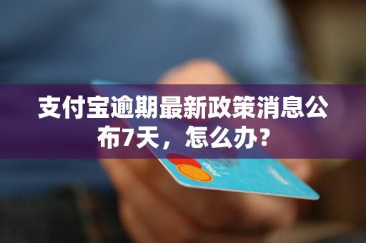 支付宝逾期最新政策消息公布7天，怎么办？