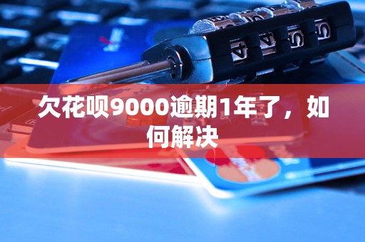 欠花呗9000逾期1年了，如何解决