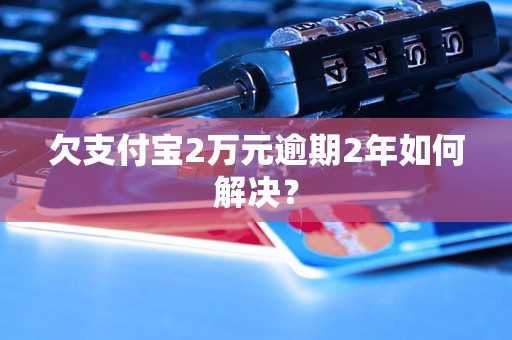 欠支付宝2万元逾期2年如何解决？