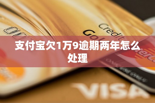 支付宝欠1万9逾期两年怎么处理