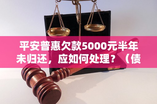 平安普惠欠款5000元半年未归还，应如何处理？（债务追讨攻略）