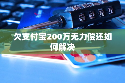 欠支付宝200万无力偿还如何解决