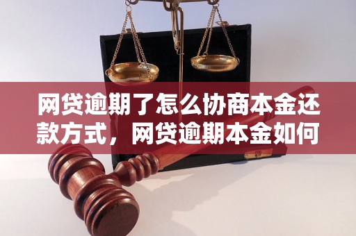 网贷逾期了怎么协商本金还款方式，网贷逾期本金如何协商还款