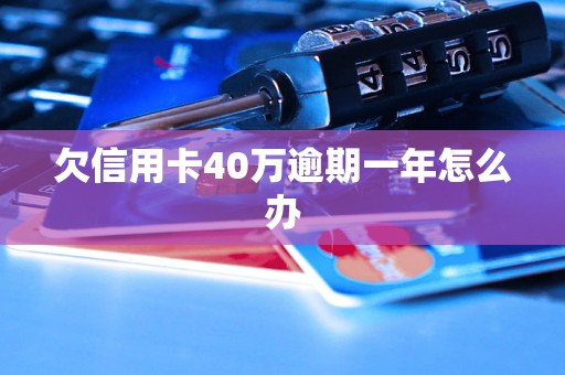 欠信用卡40万逾期一年怎么办