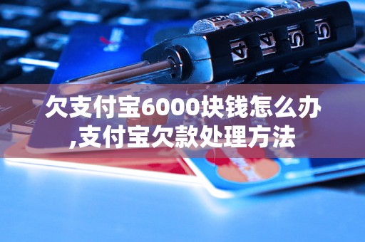 欠支付宝6000块钱怎么办,支付宝欠款处理方法