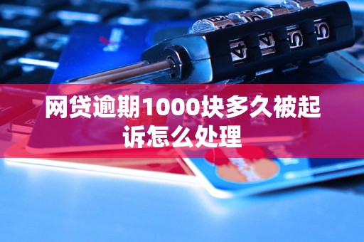 网贷逾期1000块多久被起诉怎么处理