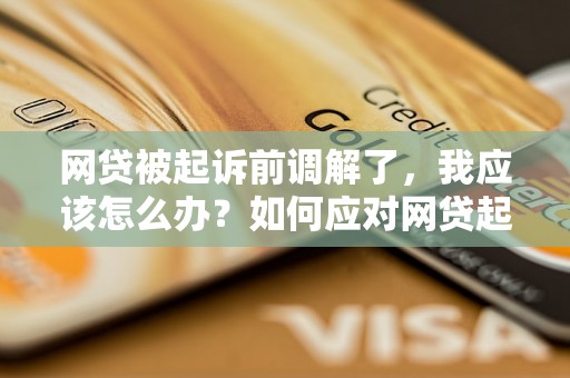 网贷被起诉前调解了，我应该怎么办？如何应对网贷起诉风险？