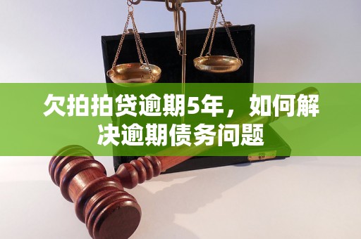 欠拍拍贷逾期5年，如何解决逾期债务问题