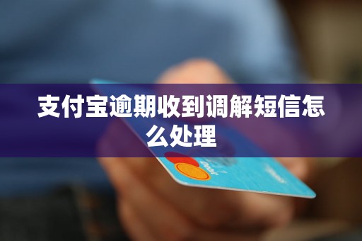 支付宝逾期收到调解短信怎么处理