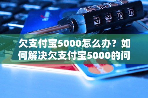 欠支付宝5000怎么办？如何解决欠支付宝5000的问题？