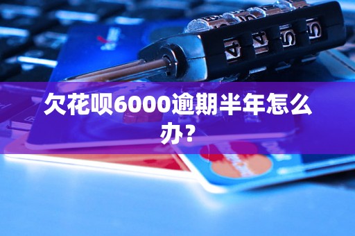 欠花呗6000逾期半年怎么办？