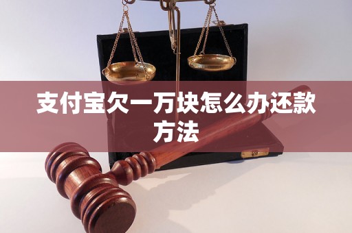 支付宝欠一万块怎么办还款方法