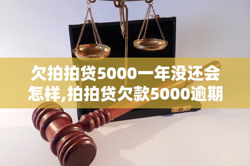 欠拍拍贷5000一年没还会怎样,拍拍贷欠款5000逾期处罚措施