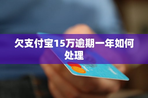 欠支付宝15万逾期一年如何处理