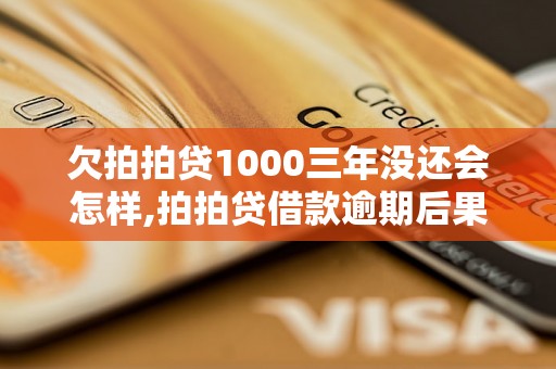 欠拍拍贷1000三年没还会怎样,拍拍贷借款逾期后果