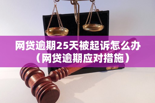 网贷逾期25天被起诉怎么办（网贷逾期应对措施）