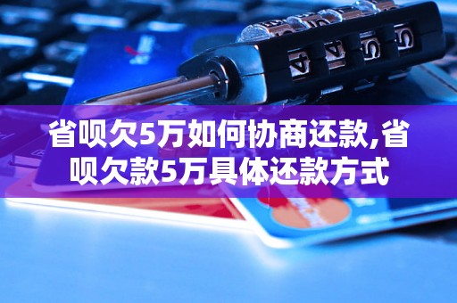 省呗欠5万如何协商还款,省呗欠款5万具体还款方式