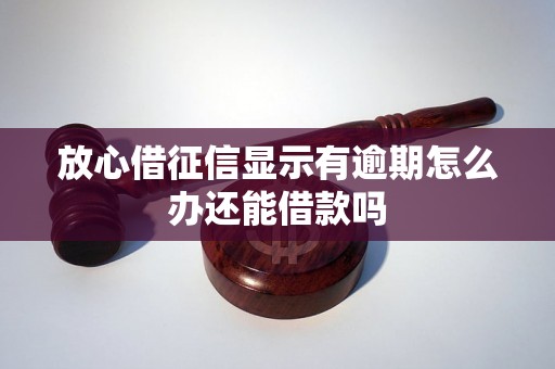 放心借征信显示有逾期怎么办还能借款吗