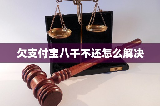 欠支付宝八千不还怎么解决