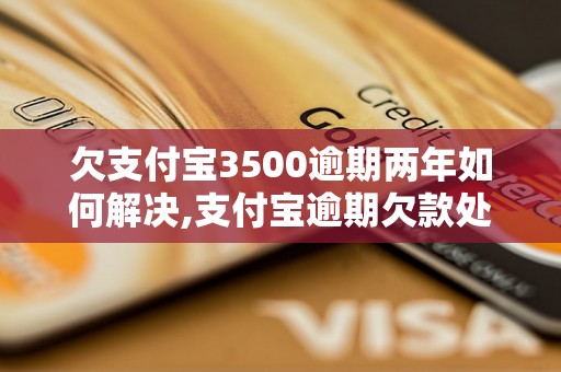 欠支付宝3500逾期两年如何解决,支付宝逾期欠款处理办法