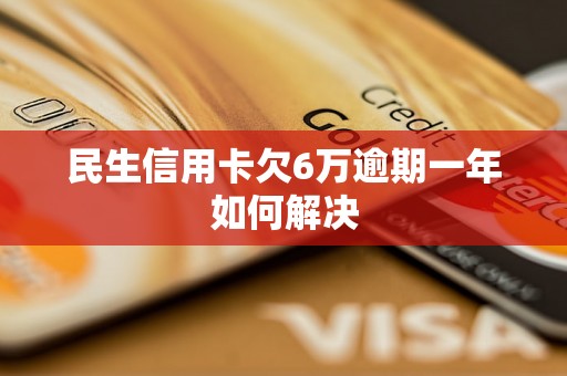 民生信用卡欠6万逾期一年如何解决