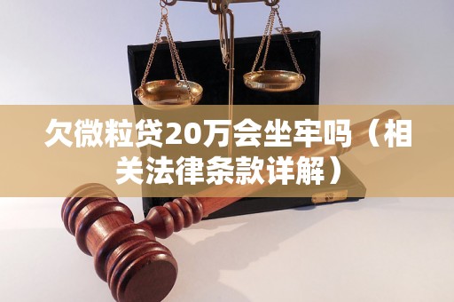 欠微粒贷20万会坐牢吗（相关法律条款详解）