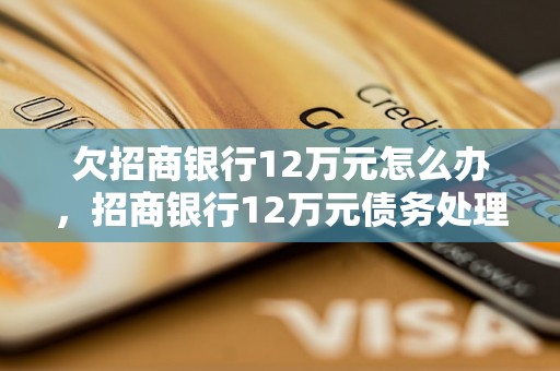 欠招商银行12万元怎么办，招商银行12万元债务处理方法