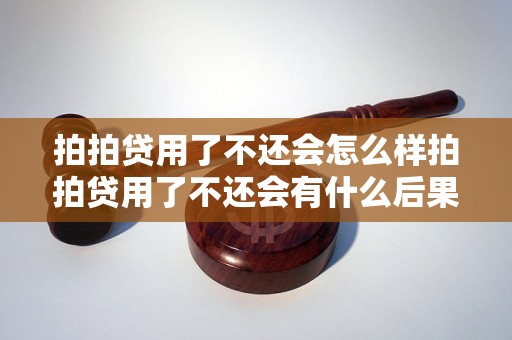 拍拍贷用了不还会怎么样拍拍贷用了不还会有什么后果