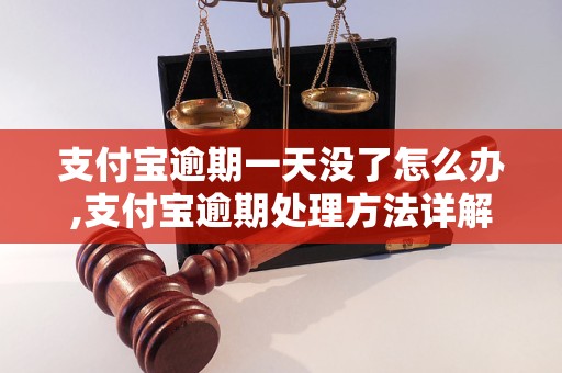 支付宝逾期一天没了怎么办,支付宝逾期处理方法详解