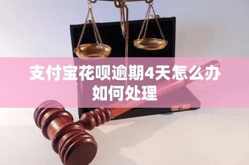 支付宝花呗逾期4天怎么办如何处理