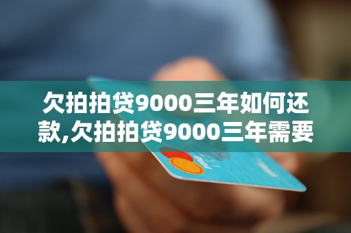 欠拍拍贷9000三年如何还款,欠拍拍贷9000三年需要偿还多少利息