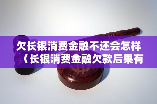 欠长银消费金融不还会怎样（长银消费金融欠款后果有哪些）