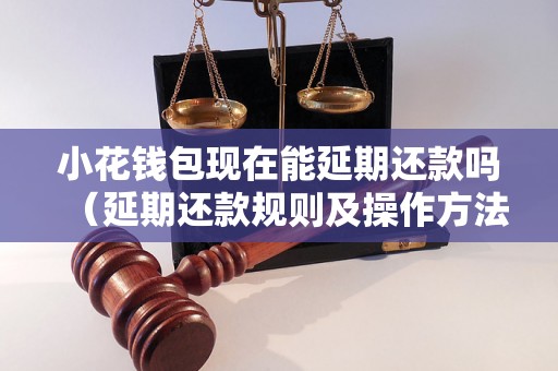 小花钱包现在能延期还款吗（延期还款规则及操作方法）