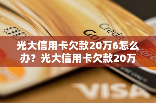 光大信用卡欠款20万6怎么办？光大信用卡欠款20万6的还款攻略