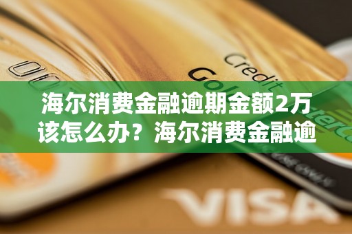 海尔消费金融逾期金额2万该怎么办？海尔消费金融逾期后的处置方式