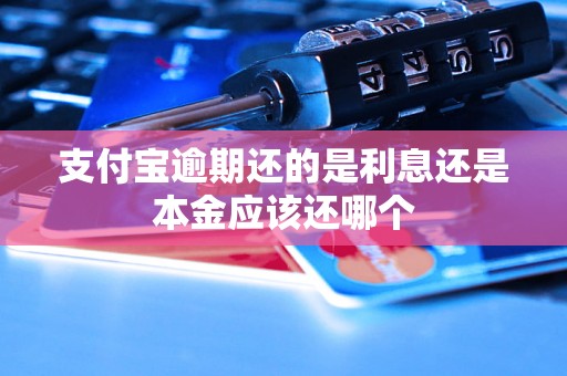 支付宝逾期还的是利息还是本金应该还哪个