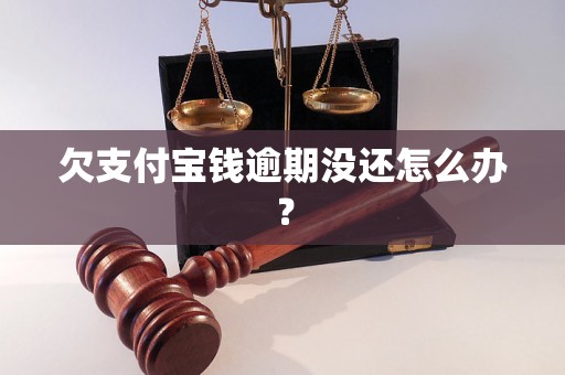 欠支付宝钱逾期没还怎么办？