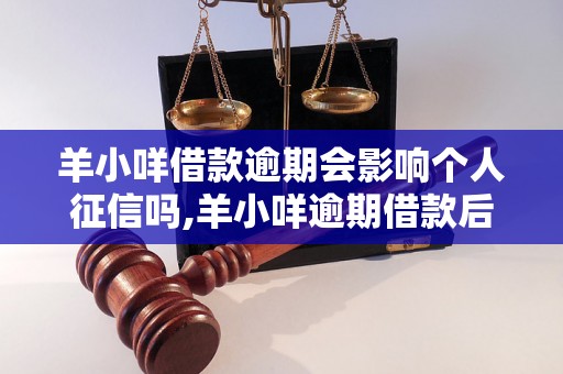 羊小咩借款逾期会影响个人征信吗,羊小咩逾期借款后征信报告会有什么影响