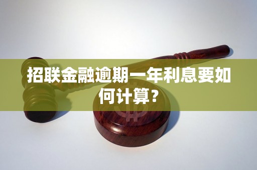 招联金融逾期一年利息要如何计算？