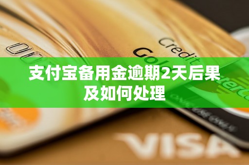 支付宝备用金逾期2天后果及如何处理